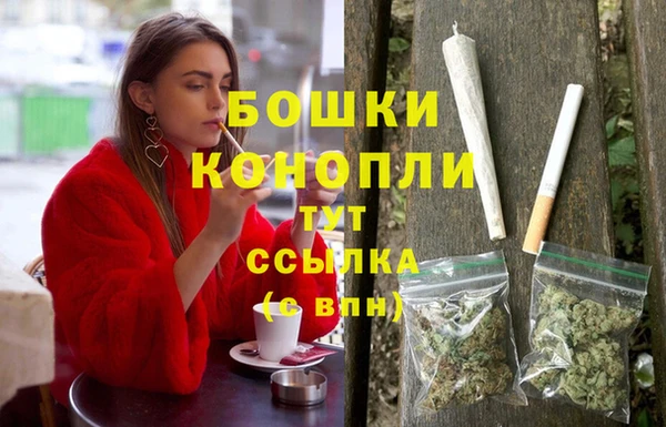 прущие крисы Медвежьегорск