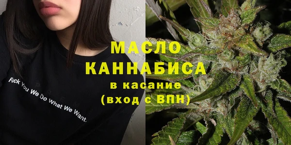 ECSTASY Медногорск