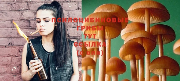 прущие крисы Медвежьегорск