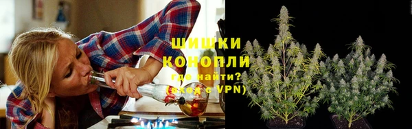 ECSTASY Медногорск